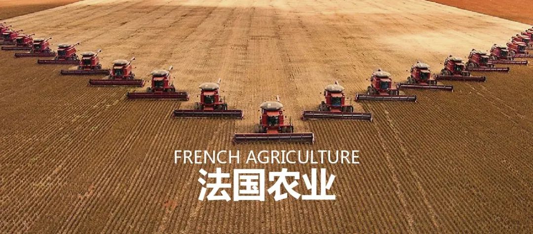 法国农业：欧盟农业大国，靠这6大战略制胜市场